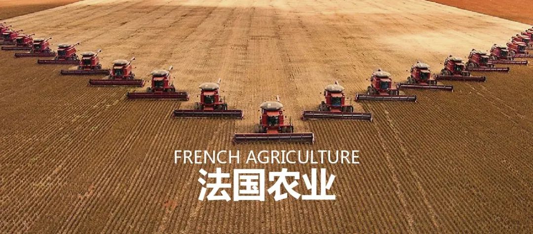 法国农业：欧盟农业大国，靠这6大战略制胜市场